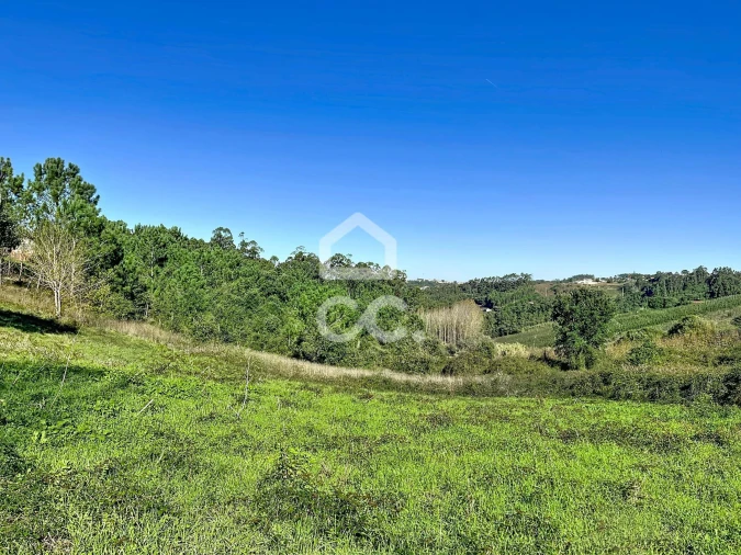 Terreno para Venda em Alvorninha Foto 9