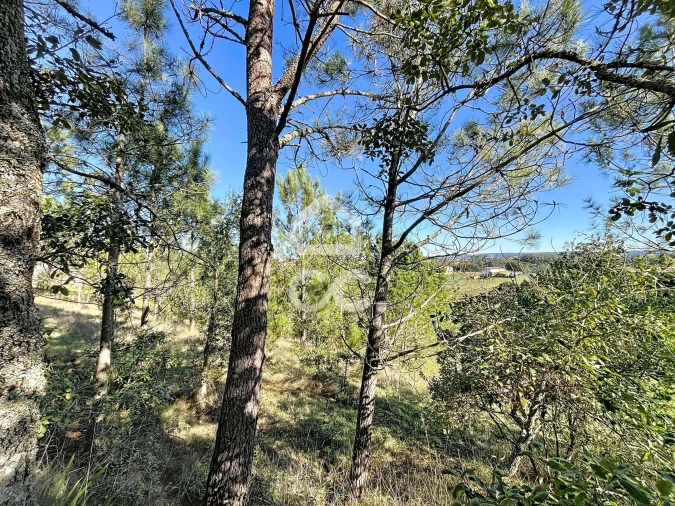 Terreno para Venda em Alvorninha Foto 5