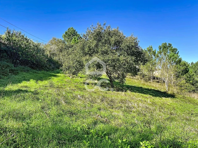 Terreno para Venda em Alvorninha Foto 21