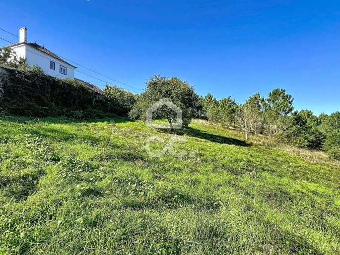 Terreno para Venda em Alvorninha Foto 11