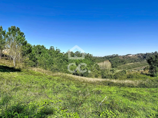 Terreno para Venda em Alvorninha Foto 22