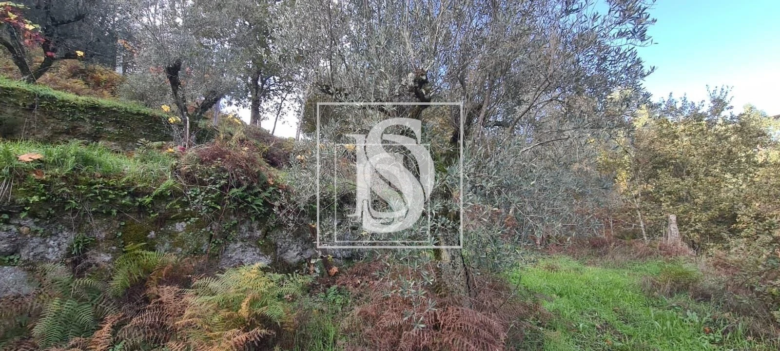 Terreno para Venda em Candemil Foto 14