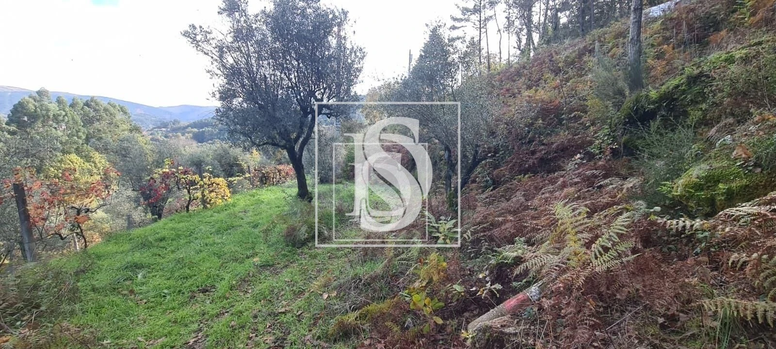 Terreno para Venda em Candemil Foto 8