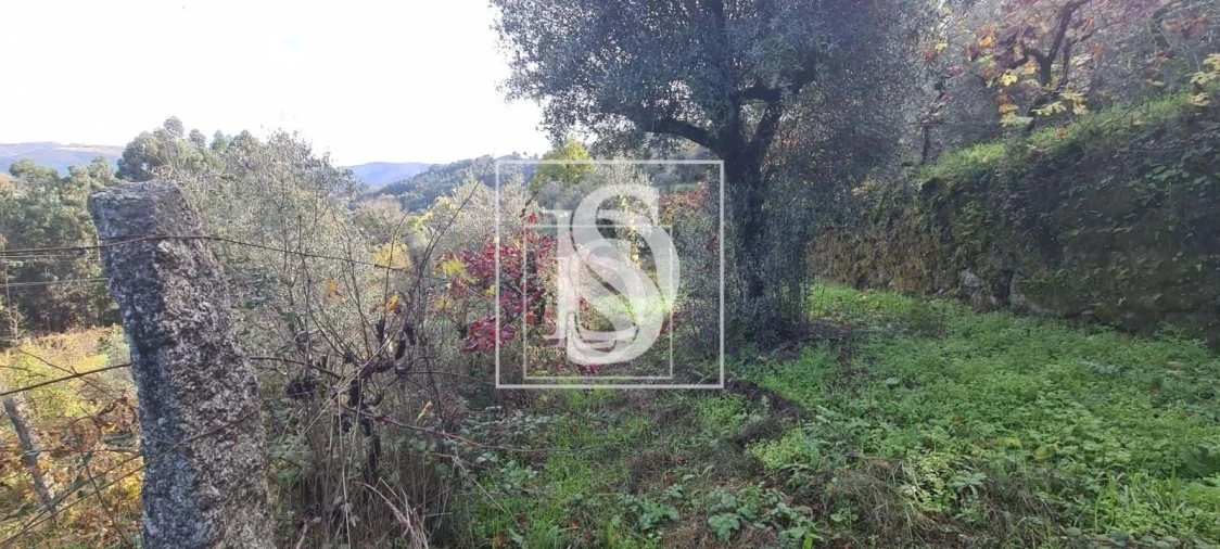 Terreno para Venda em Candemil Foto 13