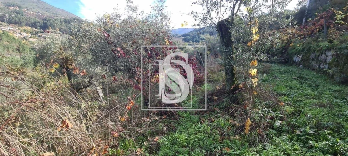 Terreno para Venda em Candemil Foto 12