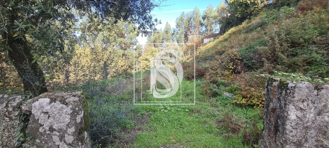 Terreno para Venda em Candemil Foto 7