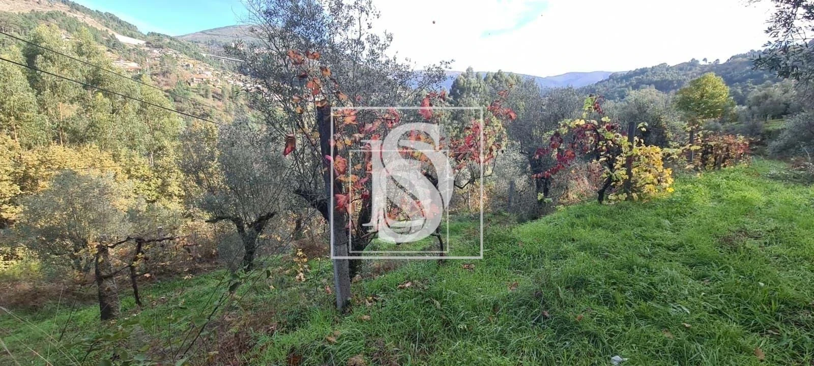 Terreno para Venda em Candemil Foto 10