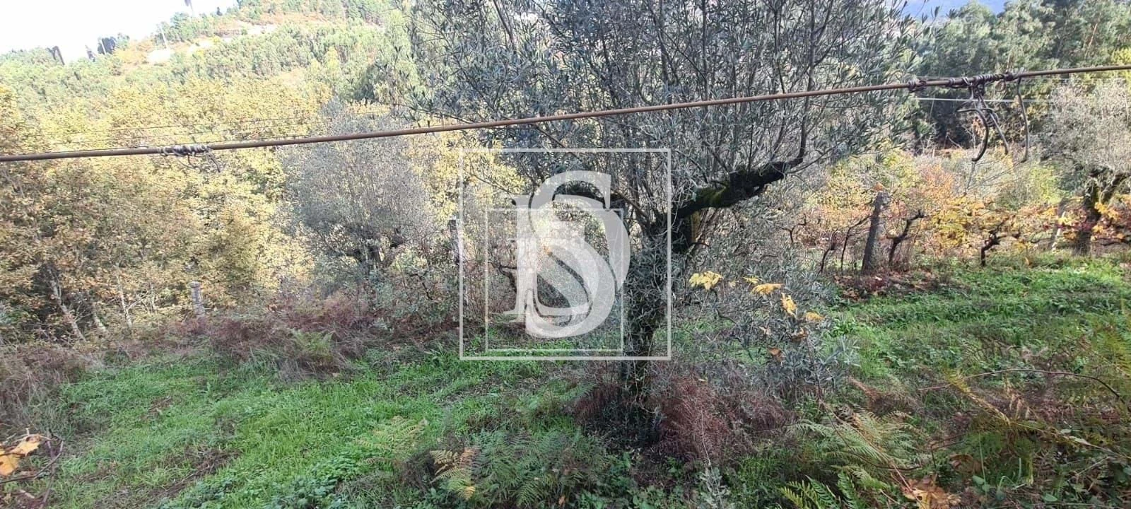 Terreno para Venda em Candemil Foto 17