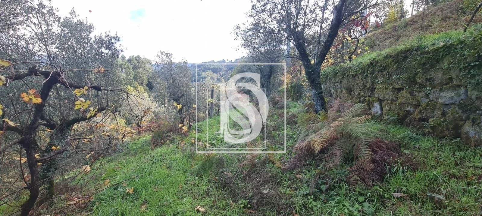 Terreno para Venda em Candemil Foto 16