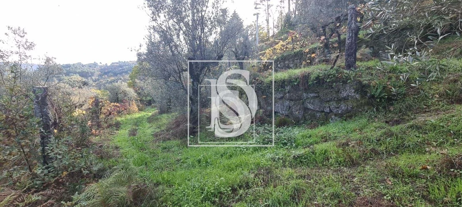 Terreno para Venda em Candemil Foto 15