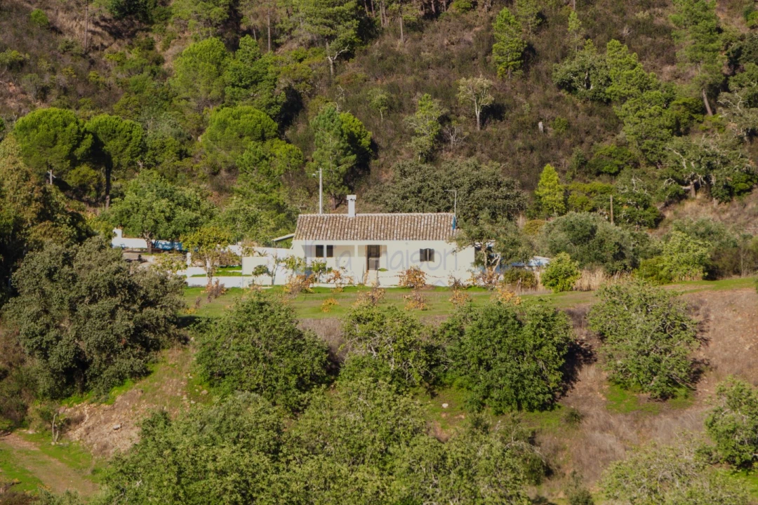 Moradia T3 para Venda em Querença, Tôr e Benafim Foto 19