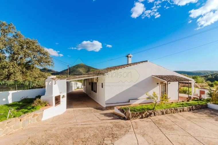 Moradia T3 para Venda em Querença, Tôr e Benafim Foto 3