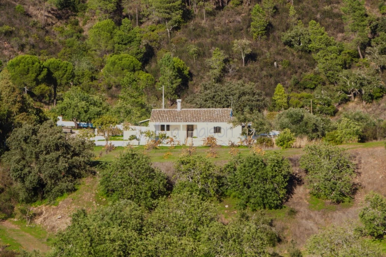 Moradia T3 para Venda em Querença, Tôr e Benafim Foto 19