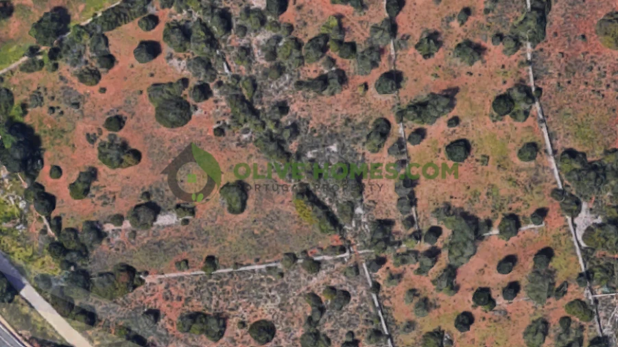 Terreno para Venda em Santa Barbara de Nexe Foto 2