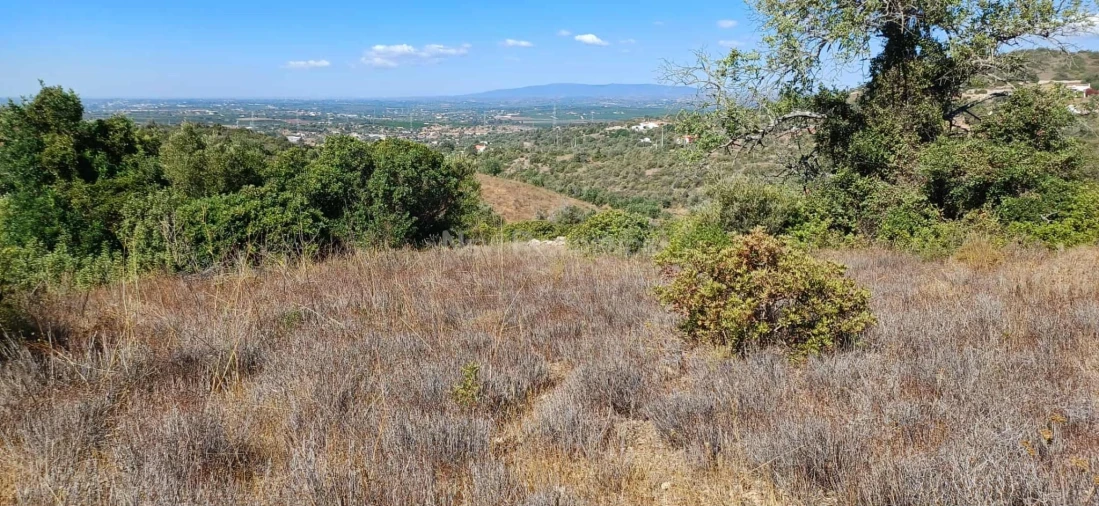 Terreno Agricola ou Rústico para Venda em Paderne Foto 2