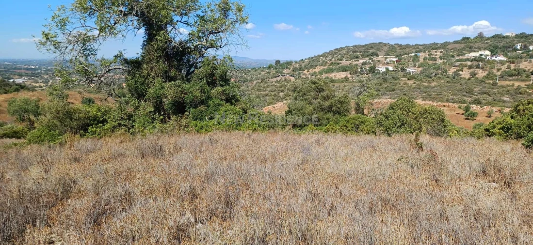 Terreno Agricola ou Rústico para Venda em Paderne Foto 3