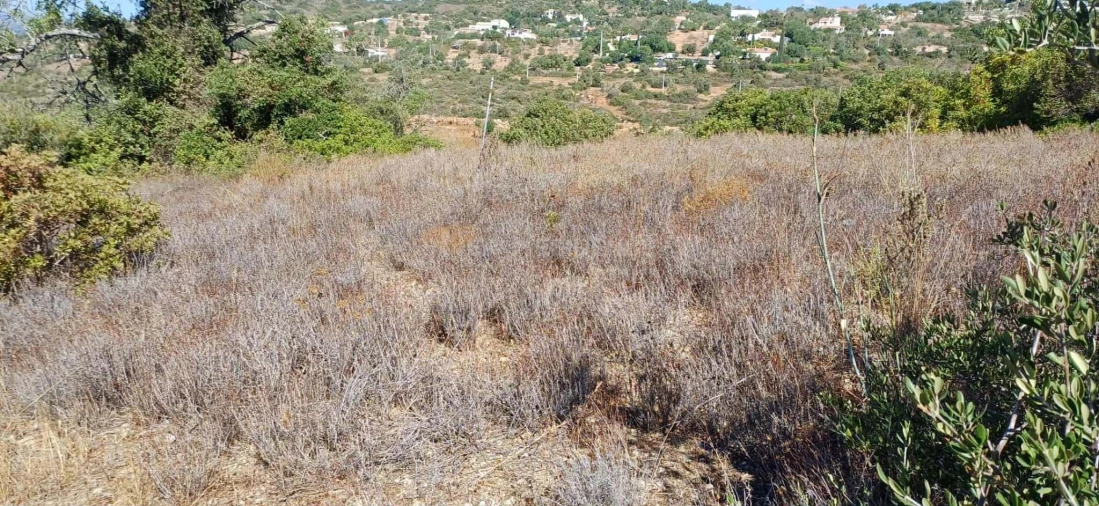 Terreno Agricola ou Rústico para Venda em Paderne Foto 4