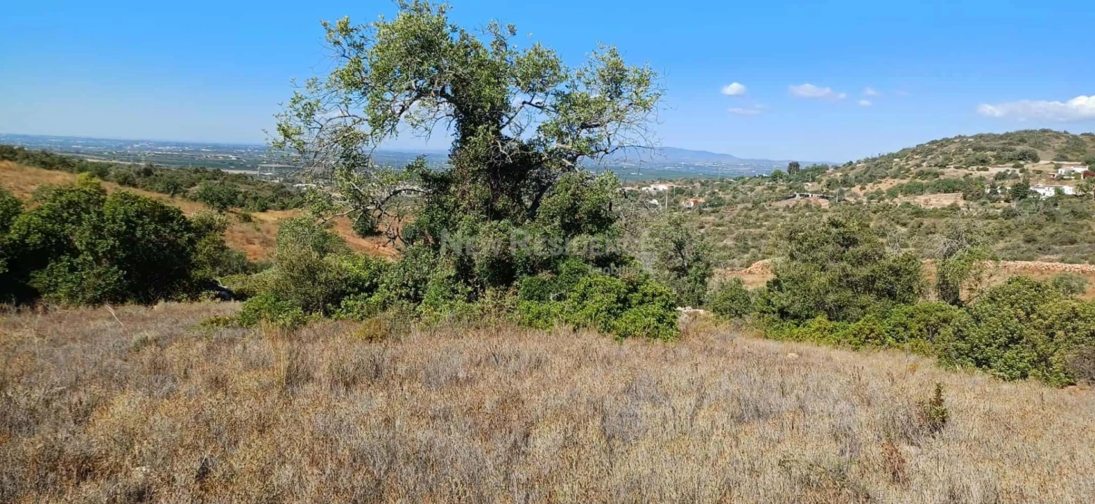 Terreno Agricola ou Rústico para Venda em Paderne Foto 6