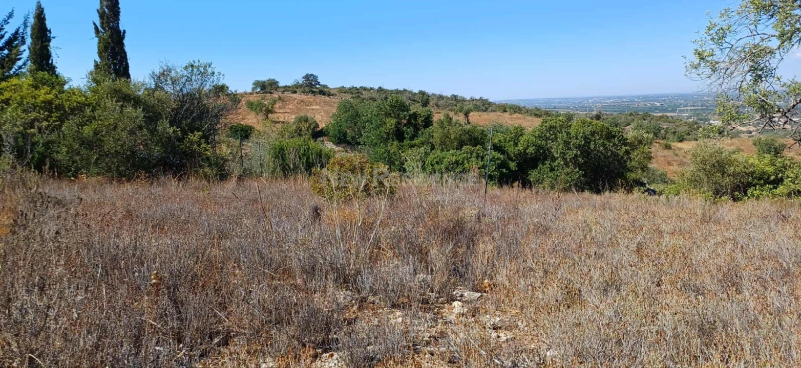 Terreno Agricola ou Rústico para Venda em Paderne Foto 5
