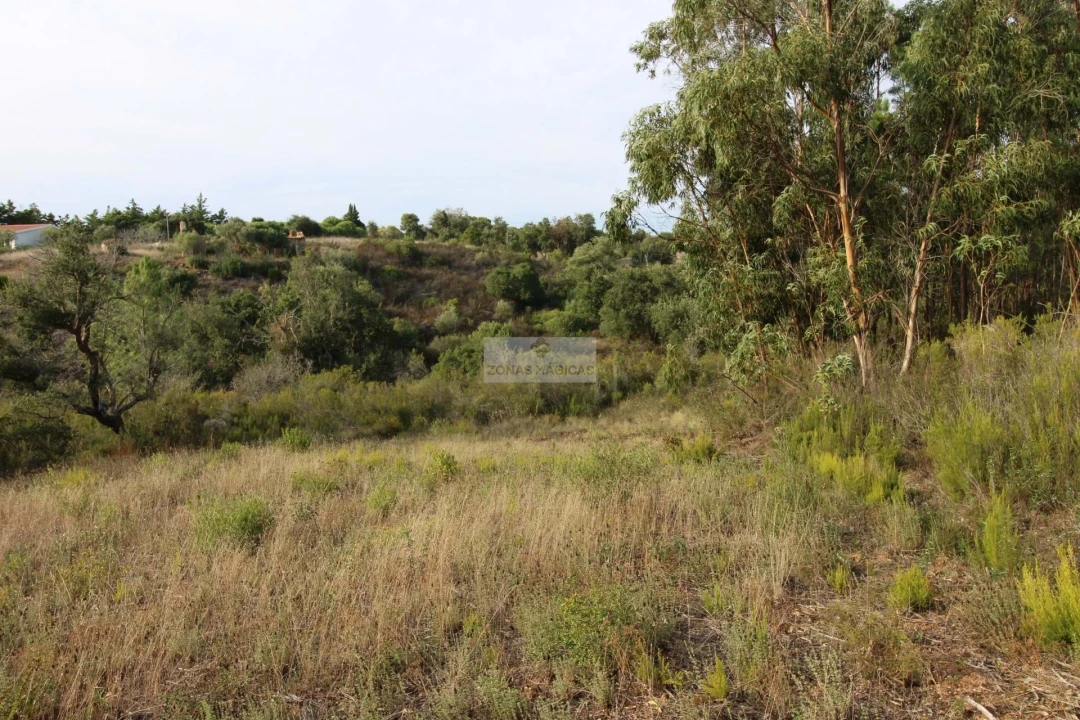 Terreno para Venda em Rogil Foto 5