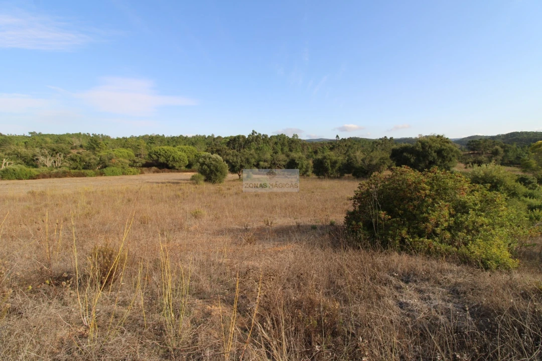 Terreno para Venda em Rogil Foto 2