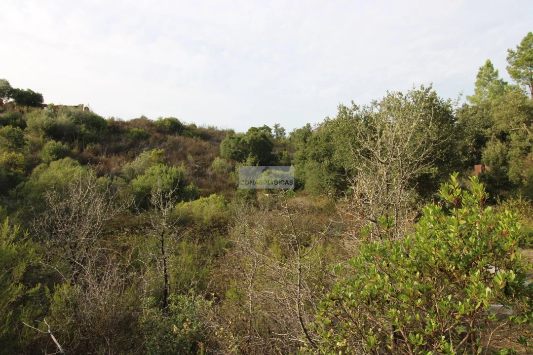 Terreno para Venda em Rogil Foto 4