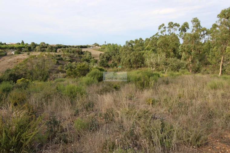 Terreno para Venda em Rogil Foto 6