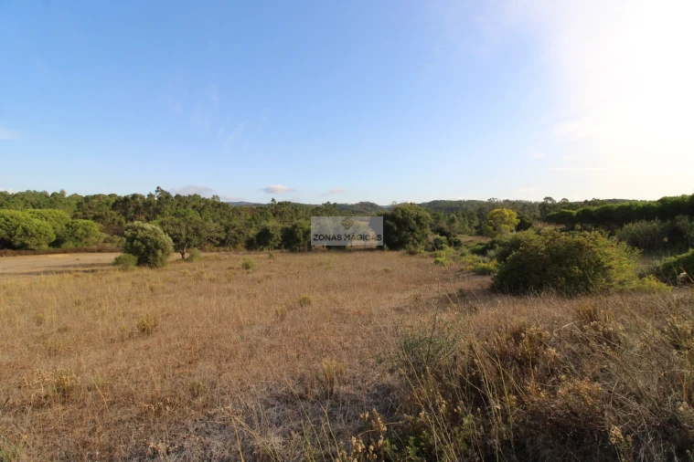 Terreno para Venda em Rogil Foto 3