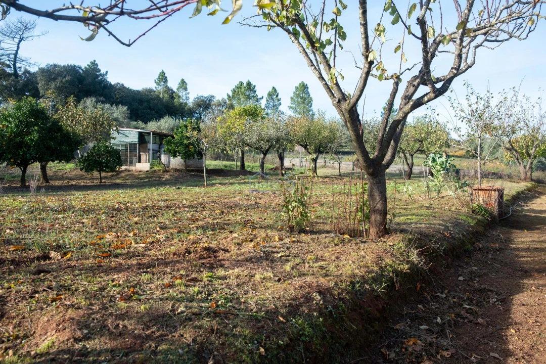 Moradia T3 para Venda em Areias e Pias Foto 41