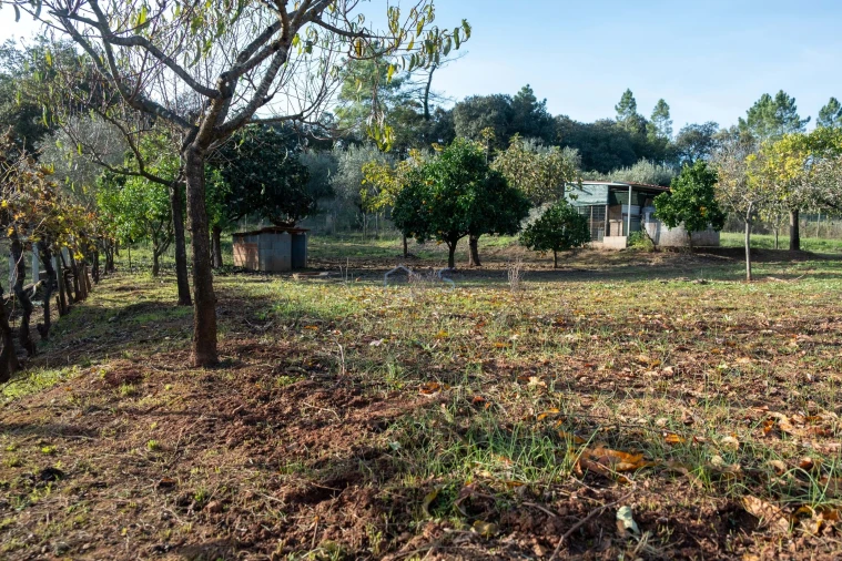 Moradia T3 para Venda em Areias e Pias Foto 40