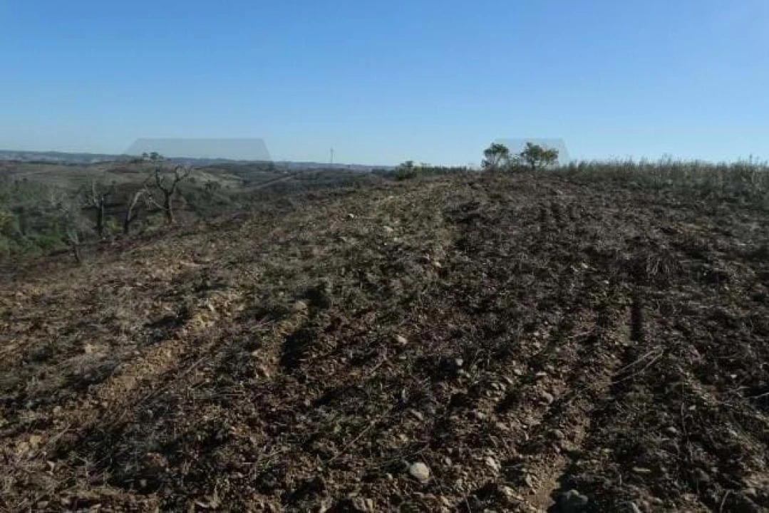 Terreno para Venda em Santana da Serra Foto 7