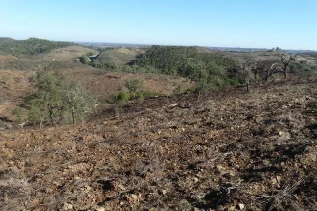 Terreno para Venda em Santana da Serra Foto 8