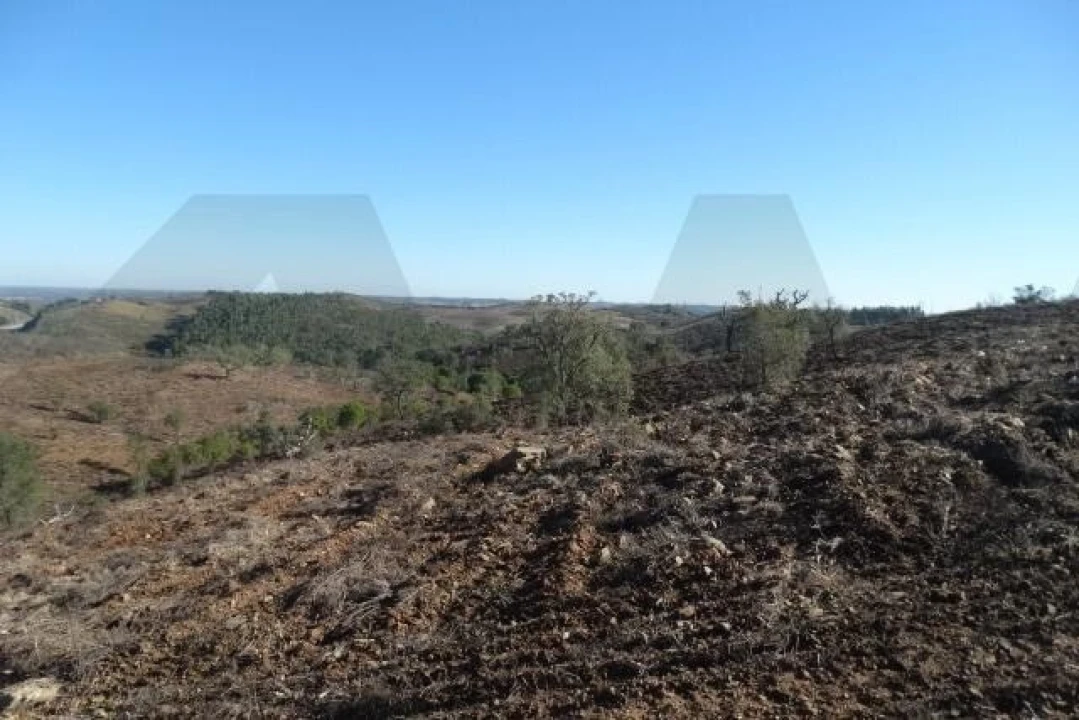 Terreno para Venda em Santana da Serra Foto 5