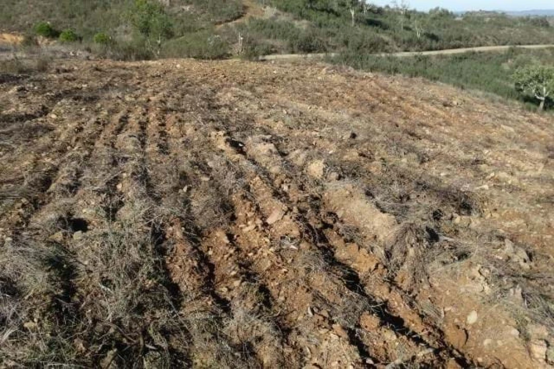 Terreno para Venda em Santana da Serra Foto 11