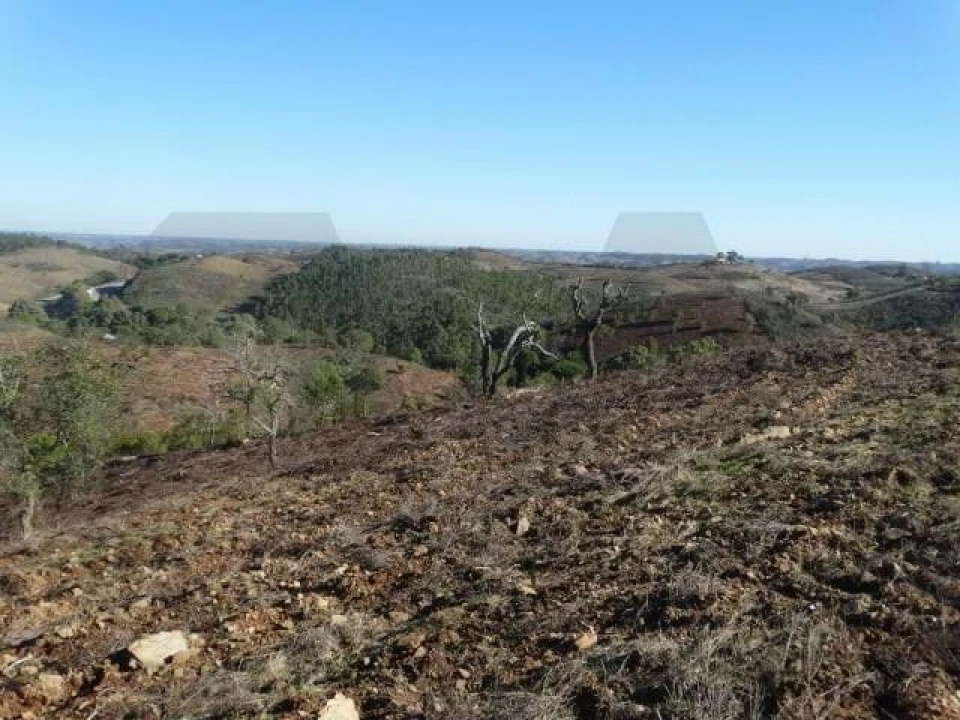 Terreno para Venda em Santana da Serra Foto 10