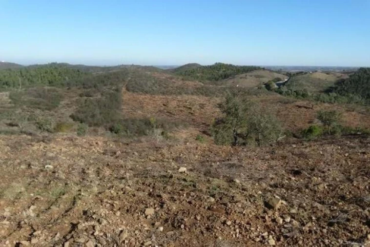 Terreno para Venda em Santana da Serra Foto 3