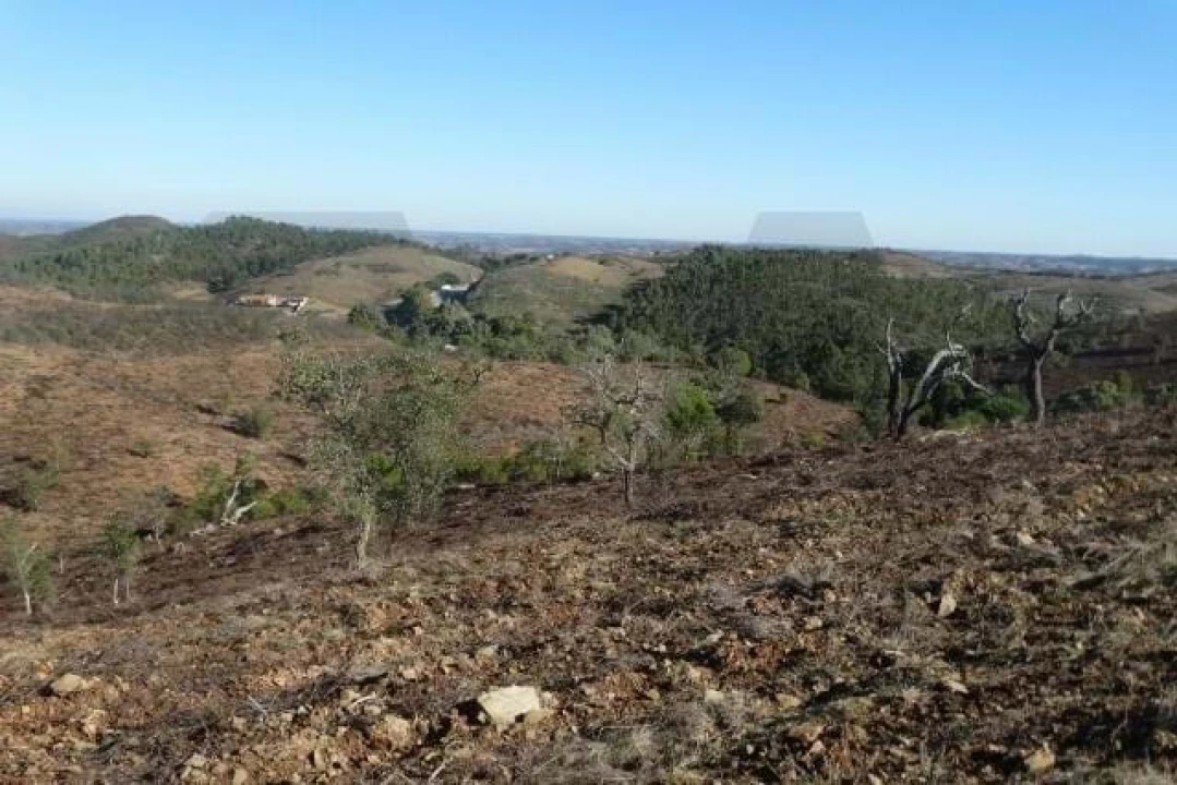 Terreno para Venda em Santana da Serra Foto 9