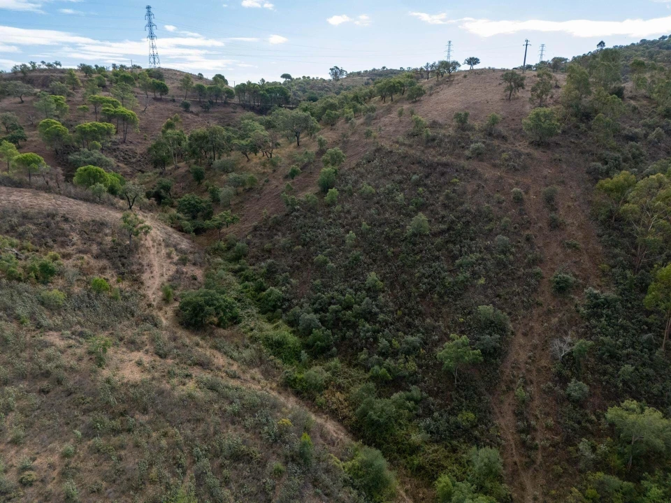 Terreno para Venda em São Brás de Alportel Foto 12