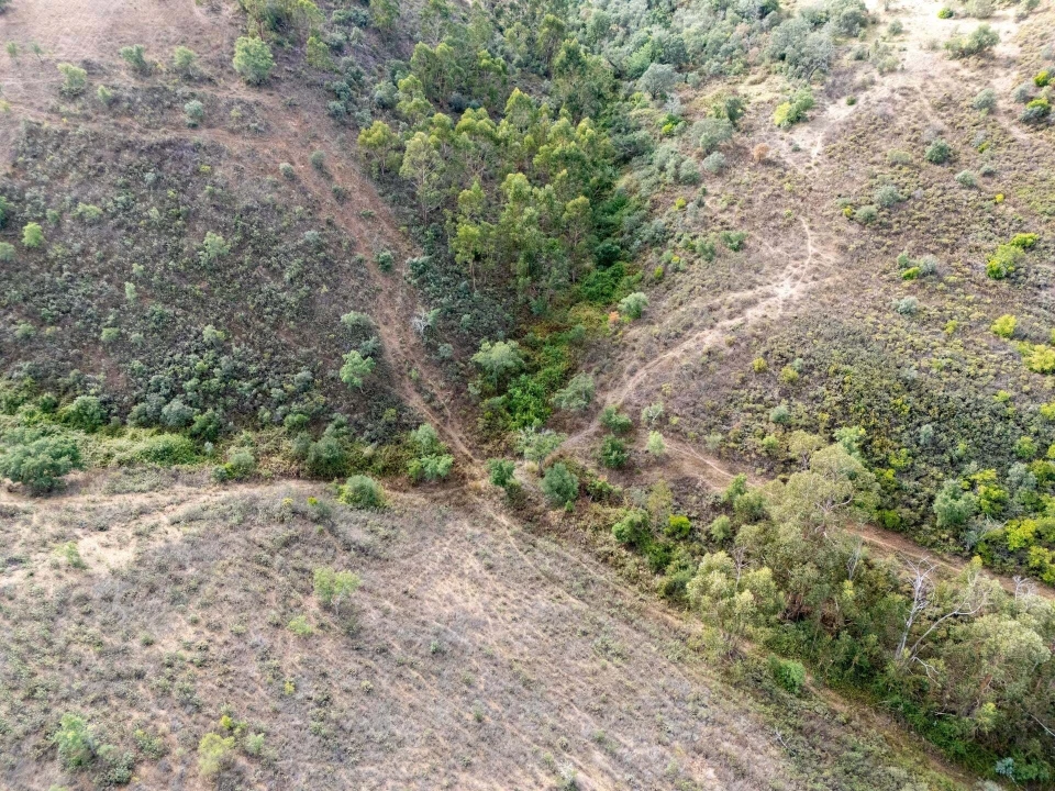 Terreno para Venda em São Brás de Alportel Foto 10