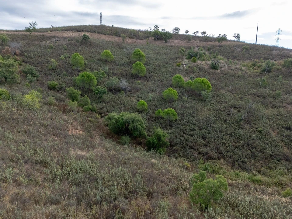 Terreno para Venda em São Brás de Alportel Foto 26