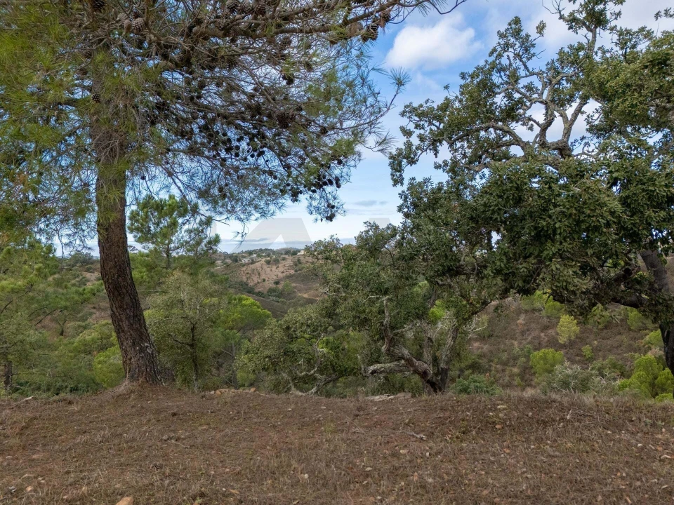 Terreno para Venda em São Brás de Alportel Foto 17