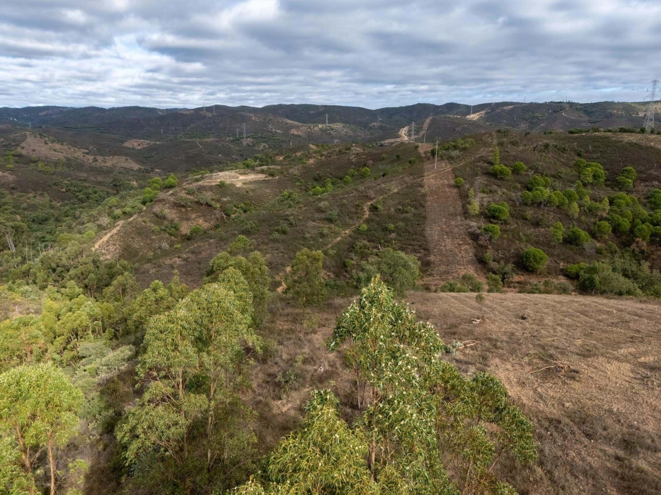 Terreno para Venda em São Brás de Alportel Foto 15