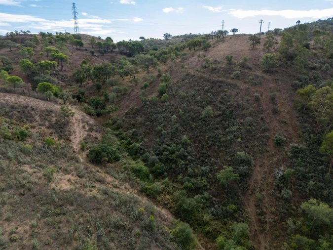 Terreno para Venda em São Brás de Alportel Foto 12