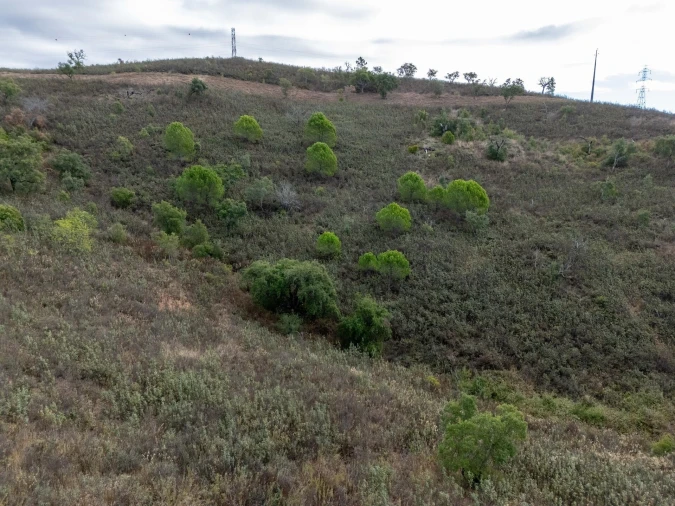 Terreno para Venda em São Brás de Alportel Foto 26
