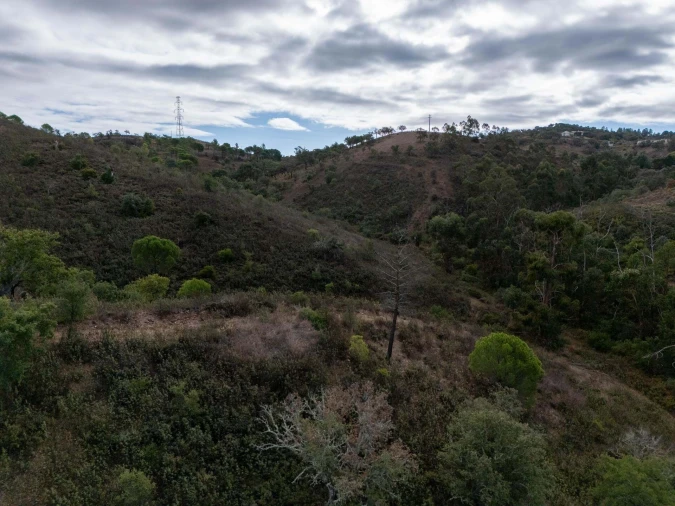 Terreno para Venda em São Brás de Alportel Foto 30
