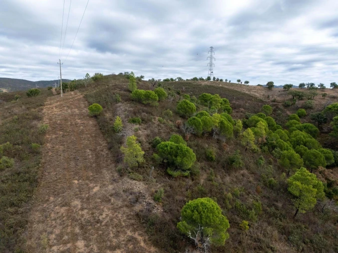 Terreno para Venda em São Brás de Alportel Foto 21