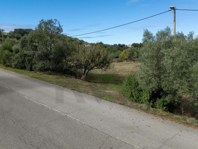 Terreno para Venda em São Brás de Alportel Foto 19