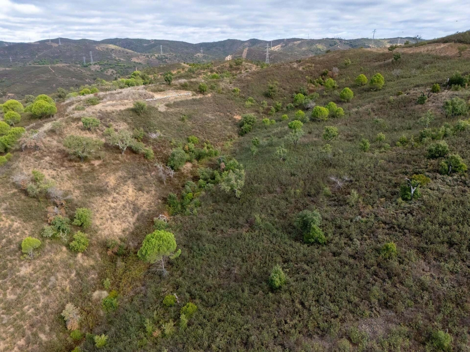 Terreno para Venda em São Brás de Alportel Foto 13