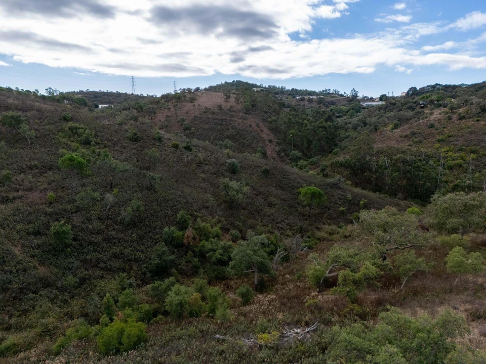 Terreno para Venda em São Brás de Alportel Foto 25