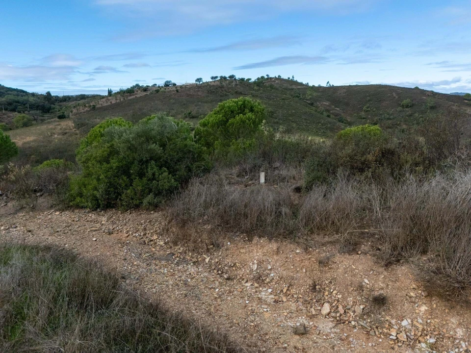 Terreno para Venda em São Brás de Alportel Foto 28